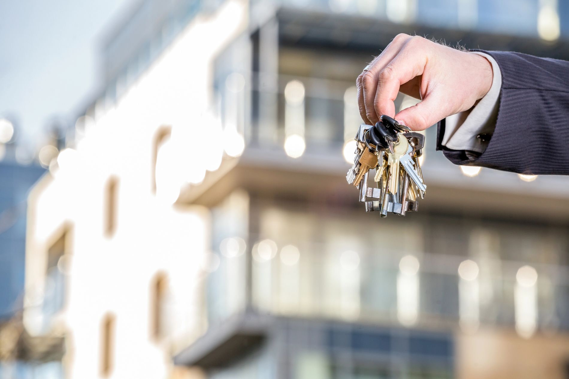probate lawyer Mesa, AZ
